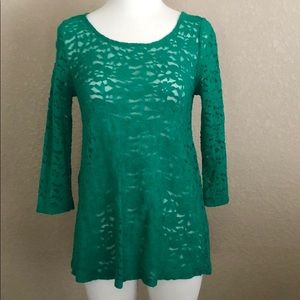 Blue Rain from Francesca’s Green Lace 3/4 Top